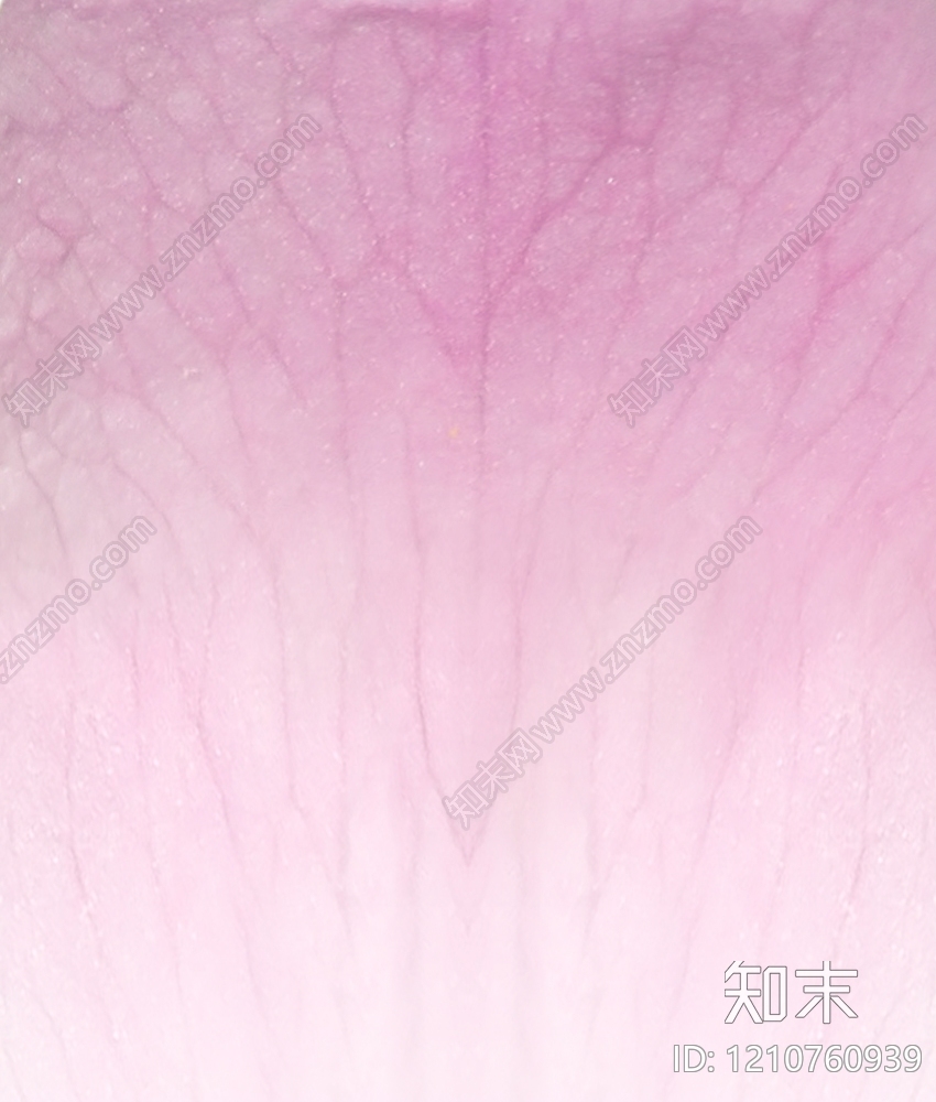 裂纹漆贴图下载【ID:1210760939】