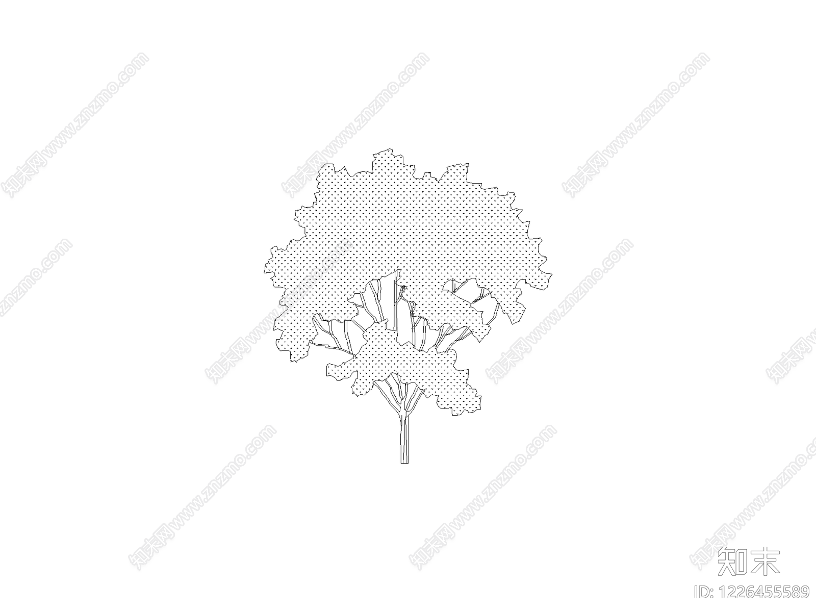 乔木种植CAD图纸