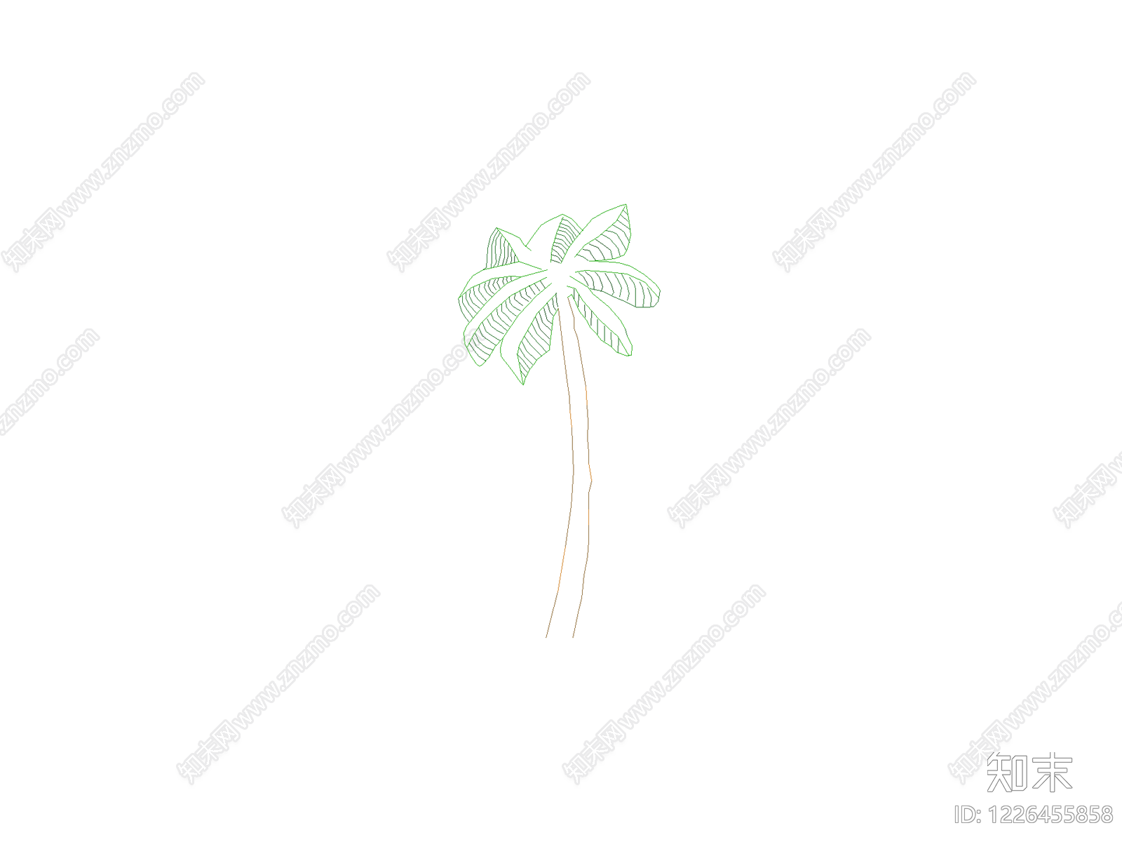 乔木种植CAD图纸