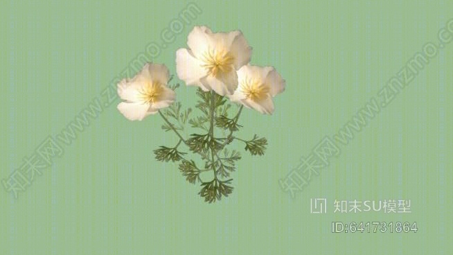 花SU模型下载【ID:641731864】