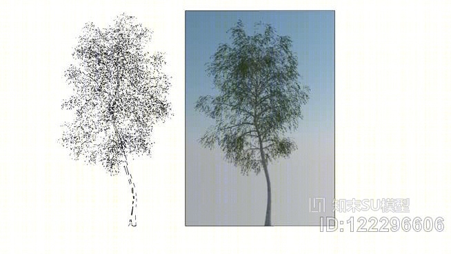 树代理SU模型下载【ID:122296606】
