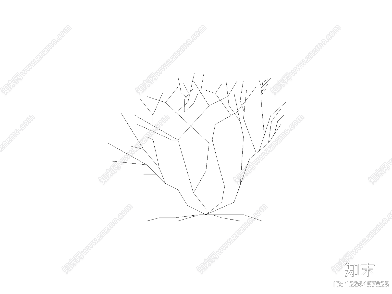 乔木种植CAD图纸