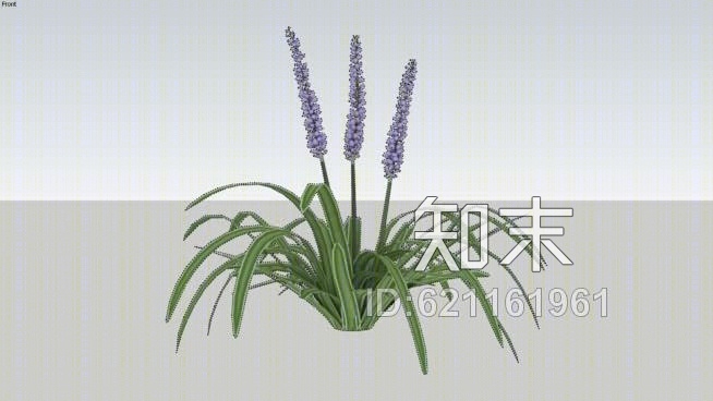 麦冬变异SU模型下载【ID:621161961】