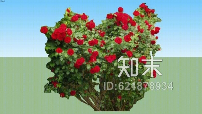 RosaSU模型下载【ID:621878934】