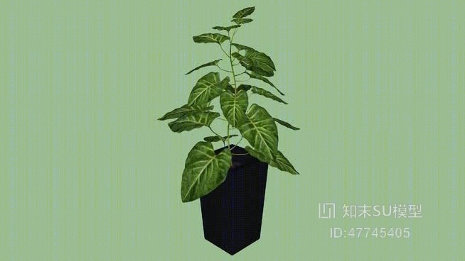 盆栽SU模型下载【ID:47745405】