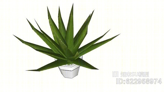 芦荟植物LowSU模型下载【ID:622958974】