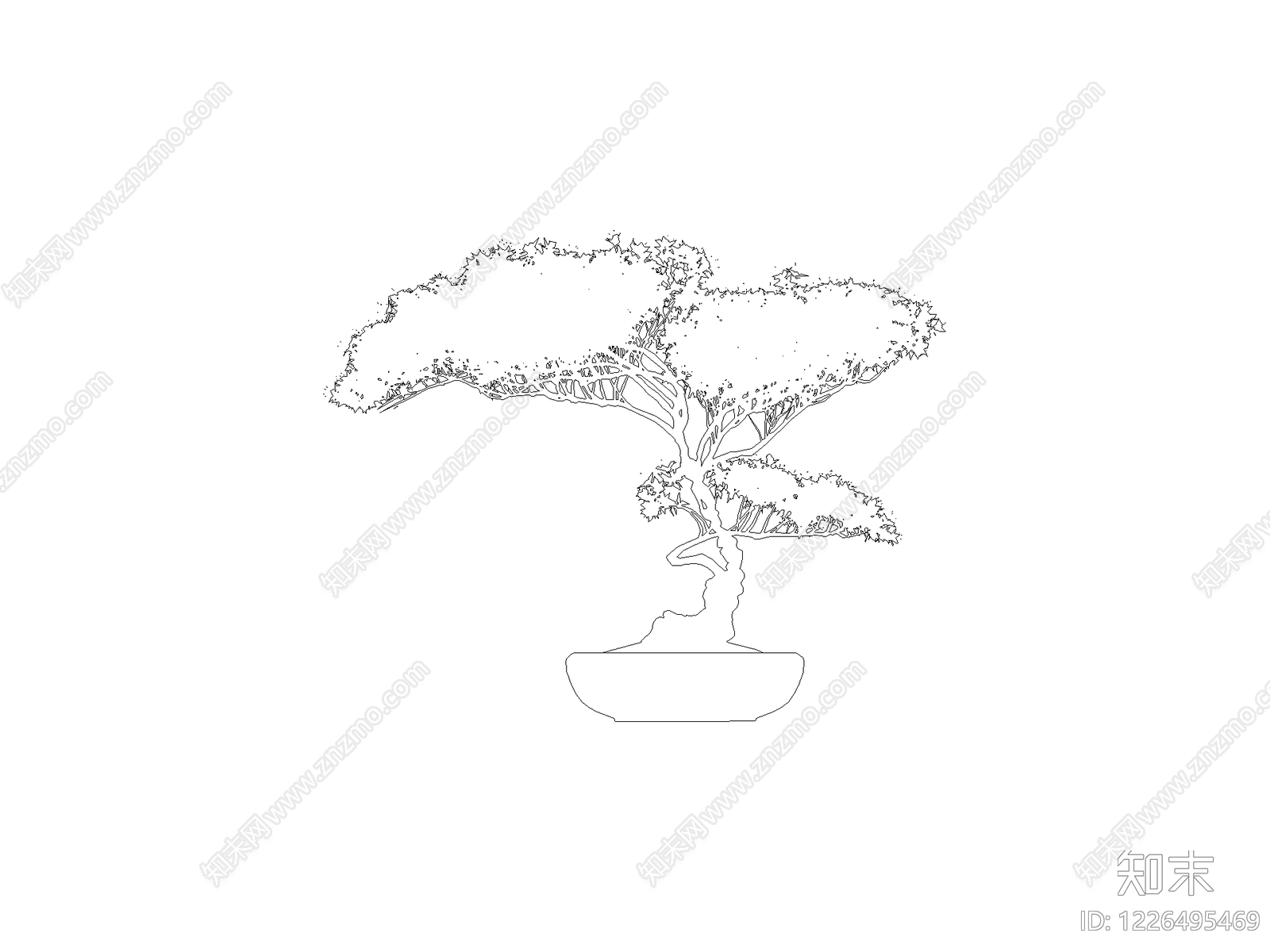 新中式乔木种植CAD图纸