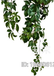 植被贴图下载【ID:10031157】