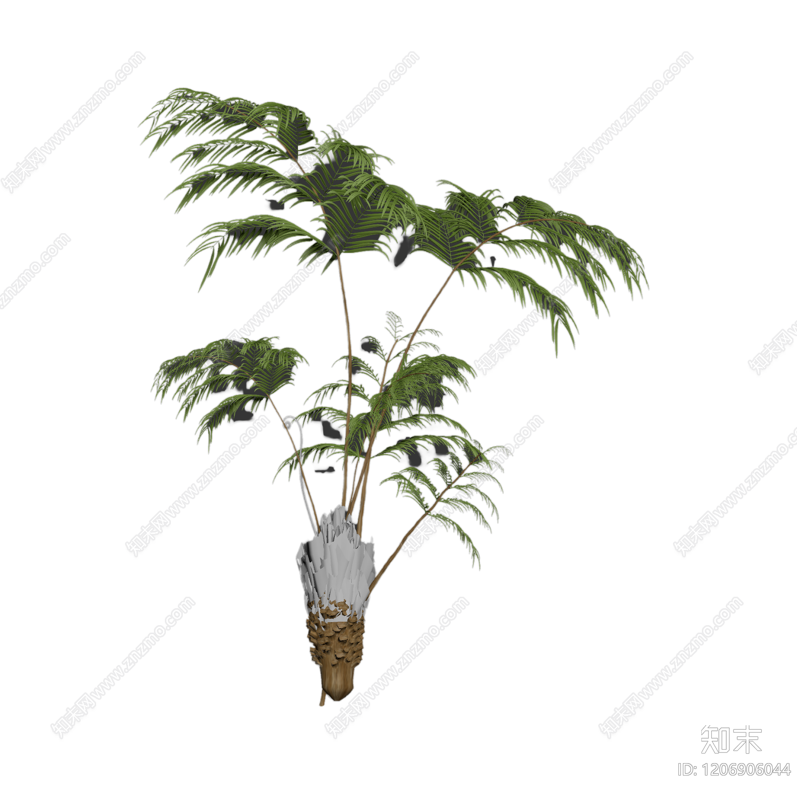 盆栽蕨类植物3D模型下载【ID:1206906044】