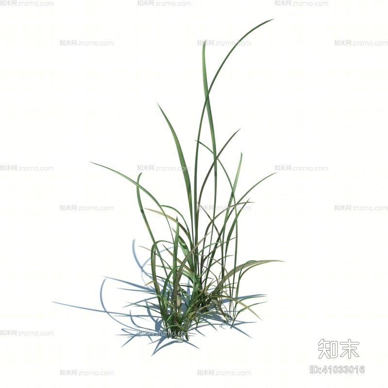 绿色草3D模型下载【ID:41033016】