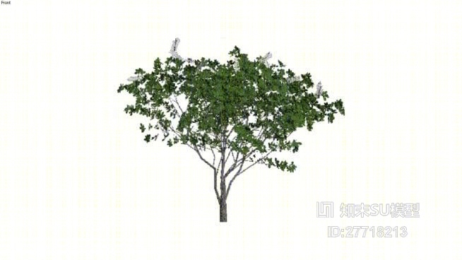树SU模型下载【ID:27718213】