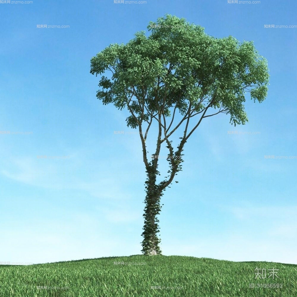 绿色景观树3D模型下载【ID:31056592】
