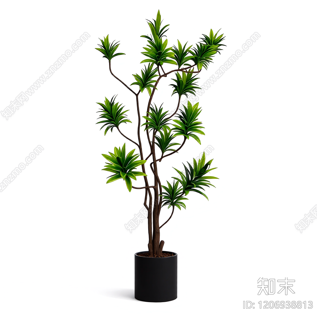 盆栽植物装饰3D模型下载【ID:1206938813】