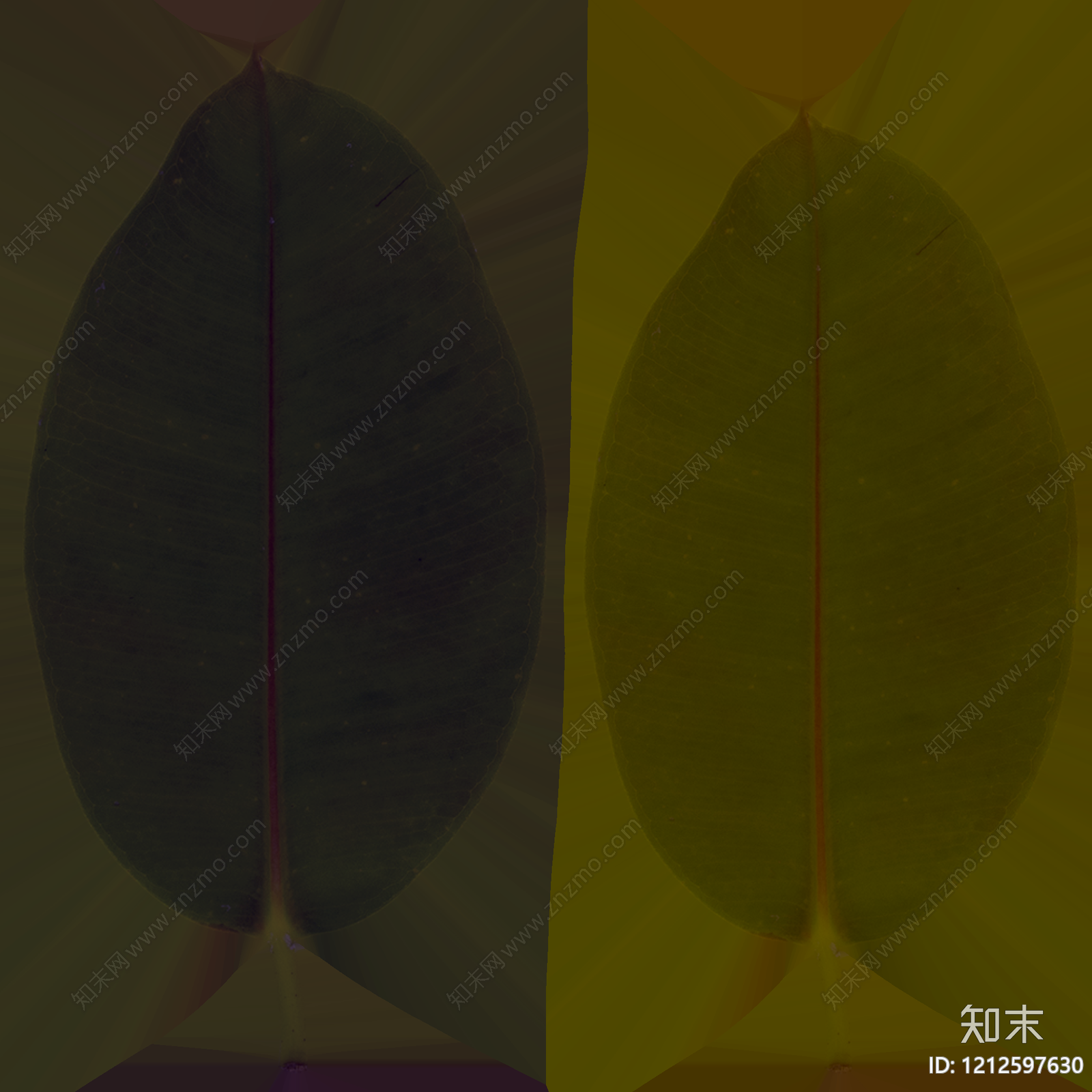 叶片纹理贴图下载【ID:1212597630】