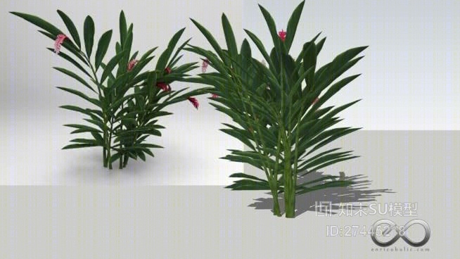 草SU模型下载【ID:217989140】