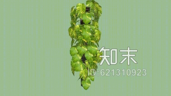 绿萝SU模型下载【ID:621310923】
