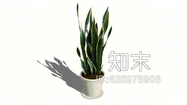 虎尾兰SU模型下载【ID:620978906】