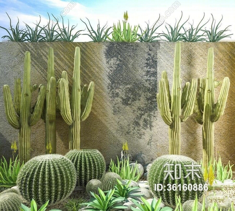 现代仙人球仙人掌绿植组合3D模型下载【ID:36160886】