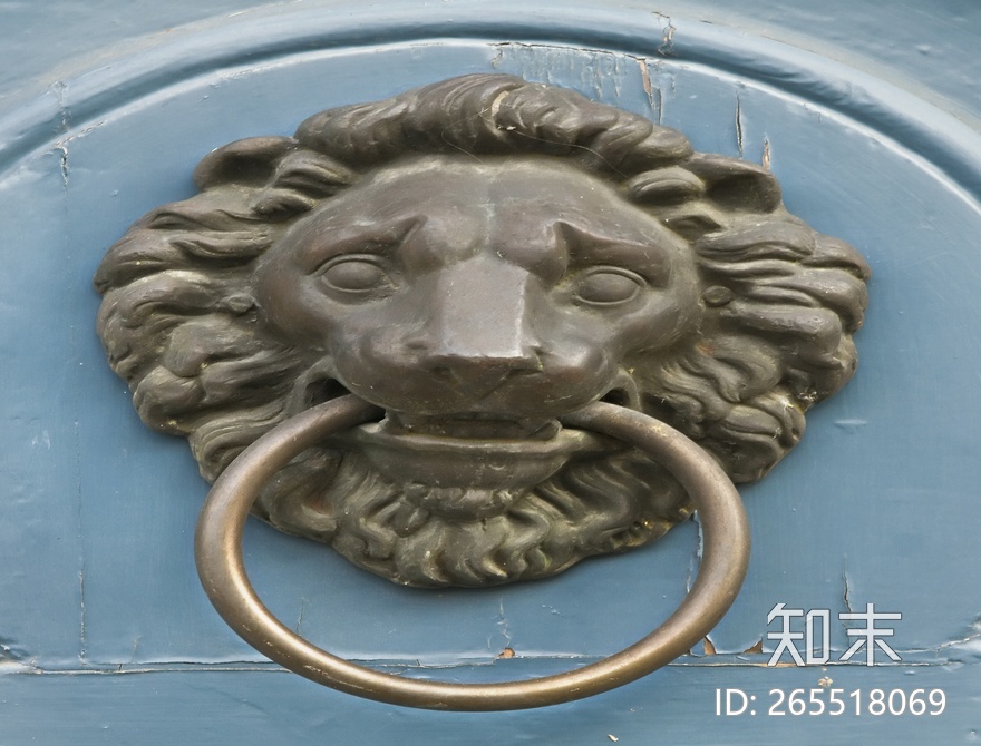 狮子和怪兽贴图下载【ID:265518069】