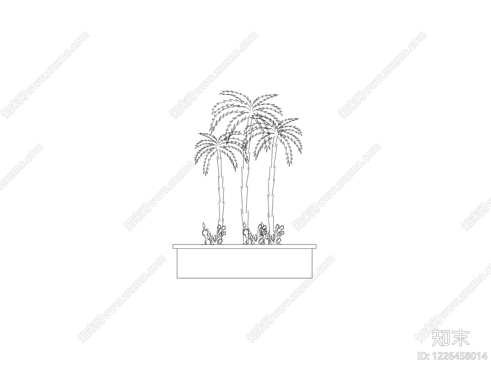 乔木种植CAD图纸