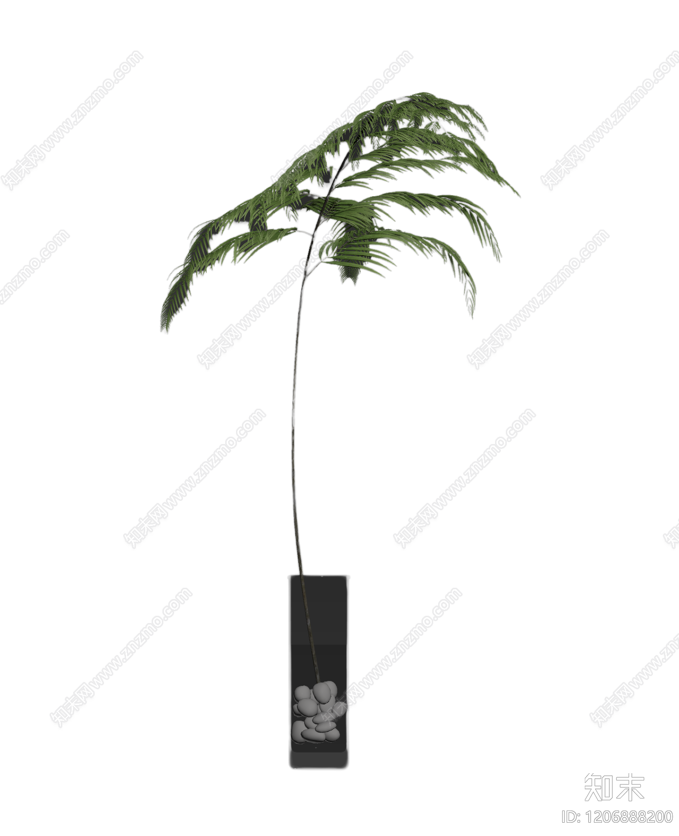 盆栽蕨类植物3D模型下载【ID:1206888200】