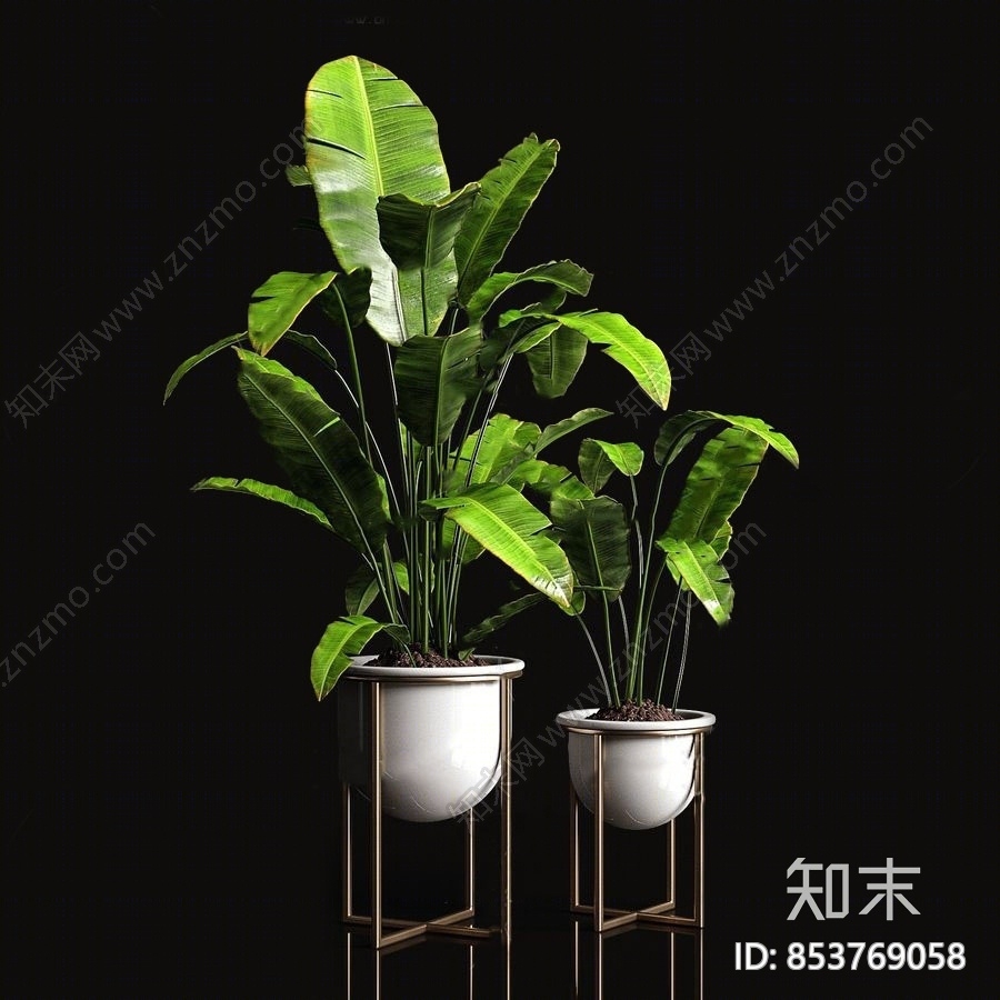 现代绿植盆栽3D模型下载【ID:853769058】