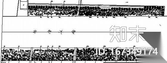 道路绿化带植物种植方案施工图下载【ID:167349174】