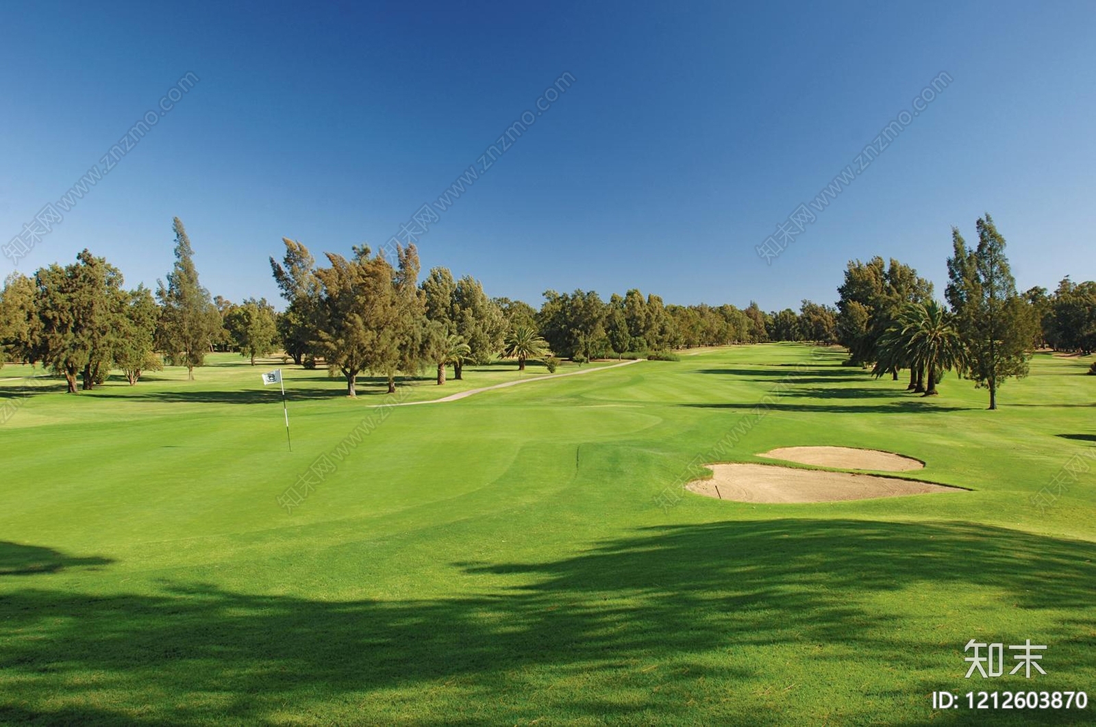 草地纹理贴图下载【ID:1212603870】