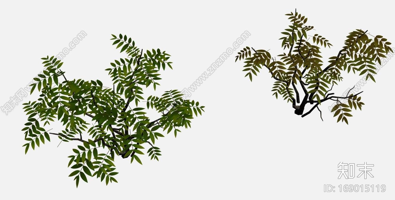 野外灌木模型CG模型下载【ID:169015119】