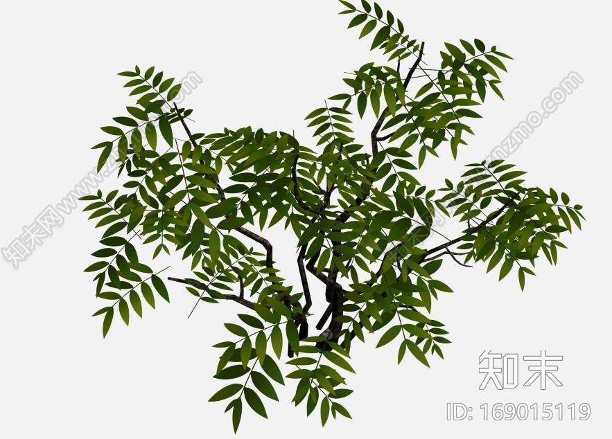 野外灌木模型CG模型下载【ID:169015119】