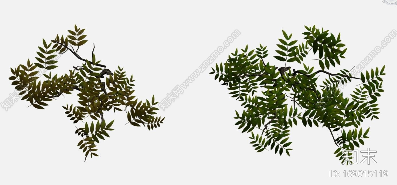 野外灌木模型CG模型下载【ID:169015119】