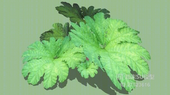 草SU模型下载【ID:218162123】