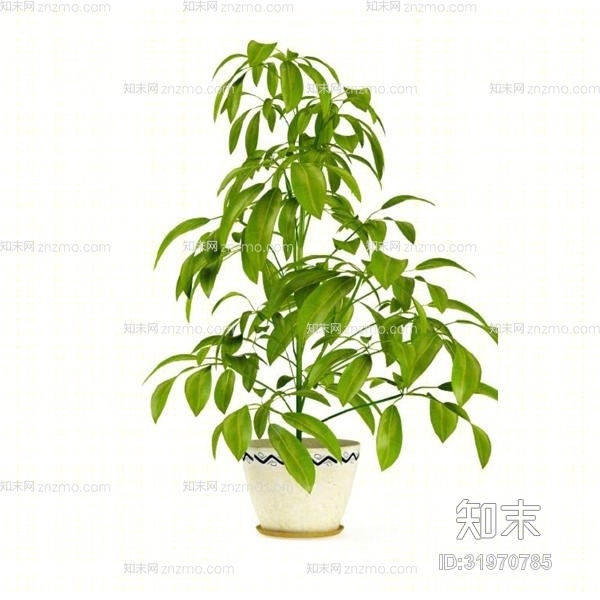 绿色盆栽3D模型下载【ID:31970785】