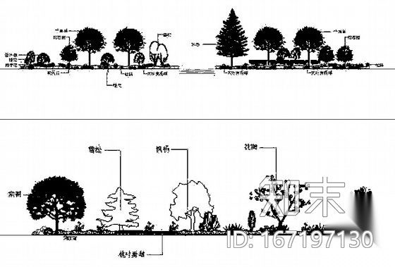 [河南许昌]城市公园园林植物配置设计施工图施工图下载【ID:167197130】