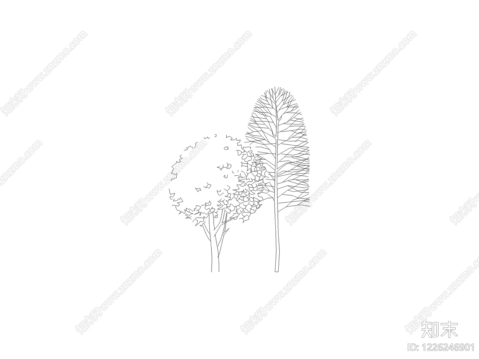 现代乔木种植CAD图纸