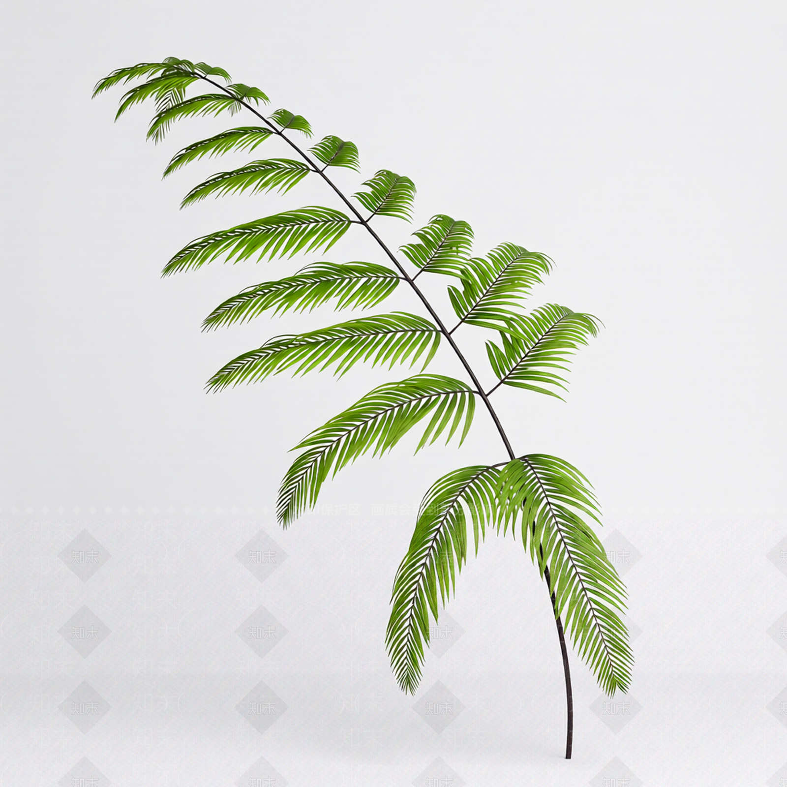 绿色枝叶植物模型3D模型下载【ID:1206186931】