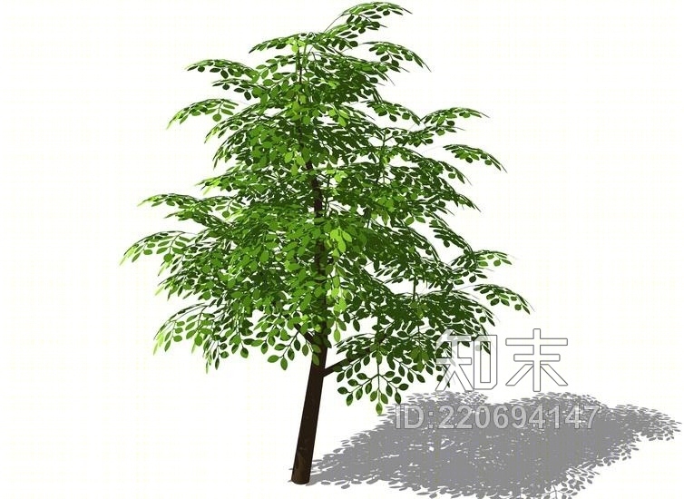 3D植物树SU模型下载【ID:220694147】