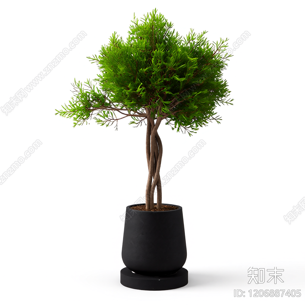 盆栽植物装饰3D模型下载【ID:1206887405】