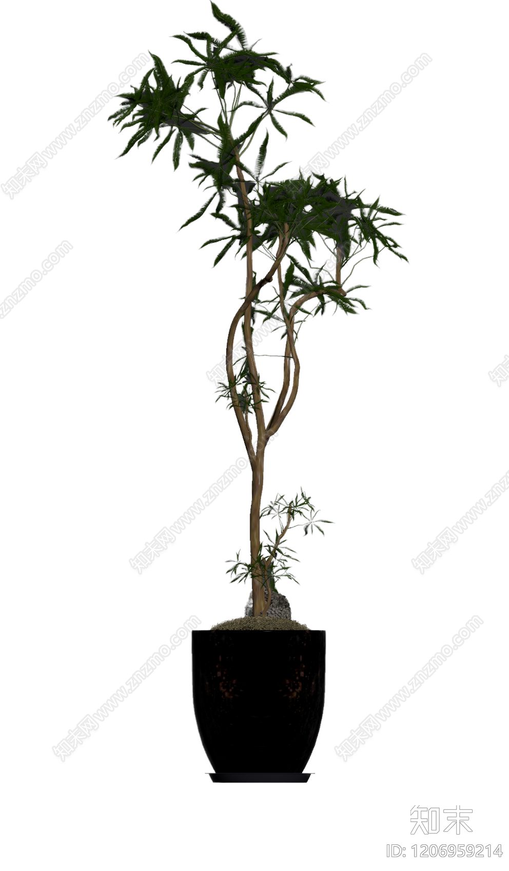 盆栽植物装饰3D模型下载【ID:1206959214】