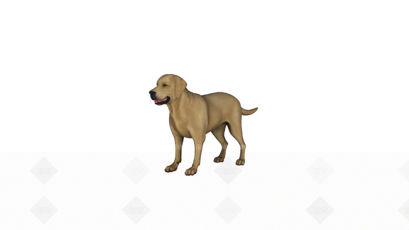 狗SU模型下载【ID:1162350262】