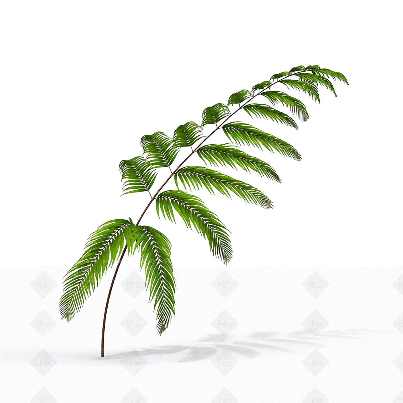 绿色枝叶植物模型3D模型下载【ID:1206194087】