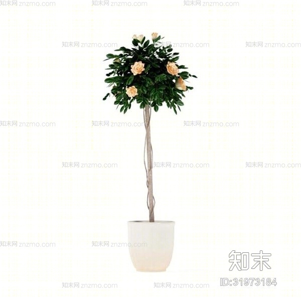 白色盆栽3D模型下载【ID:31973184】