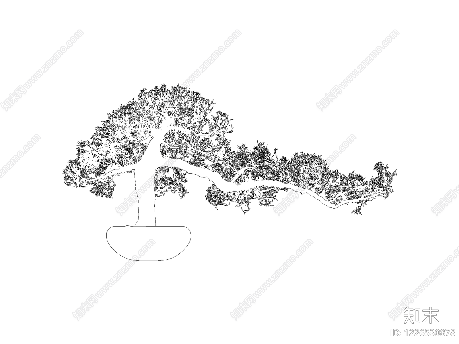 新中式乔木种植CAD图纸