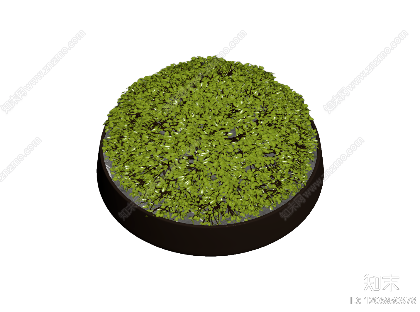 盆栽植物装饰3D模型下载【ID:1206950378】