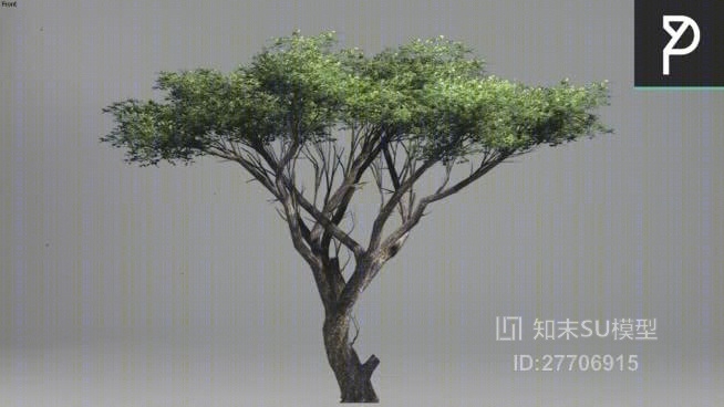 树SU模型下载【ID:27706915】