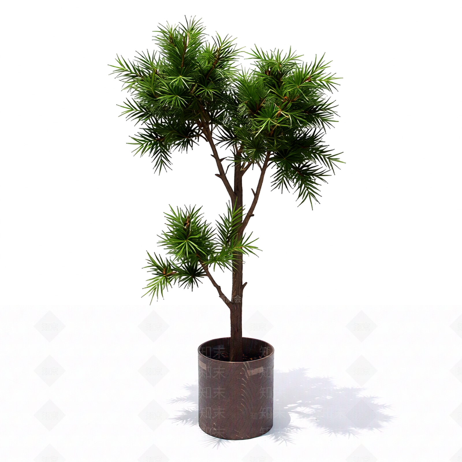 带盆完整盆栽3D模型下载【ID:1206182280】