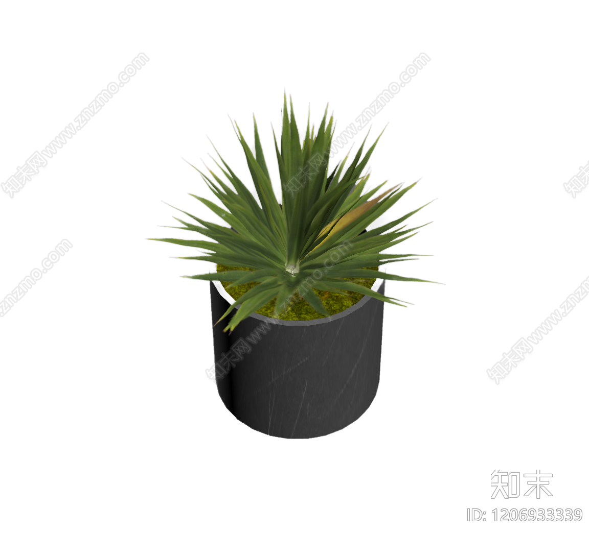 盆栽植物装饰3D模型下载【ID:1206933339】