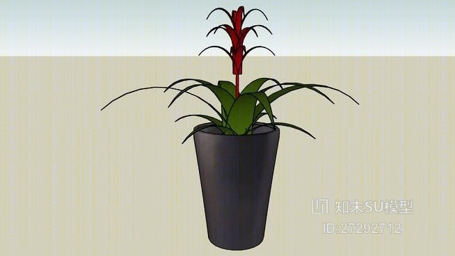 盆栽热带植物SU模型下载【ID:27292712】