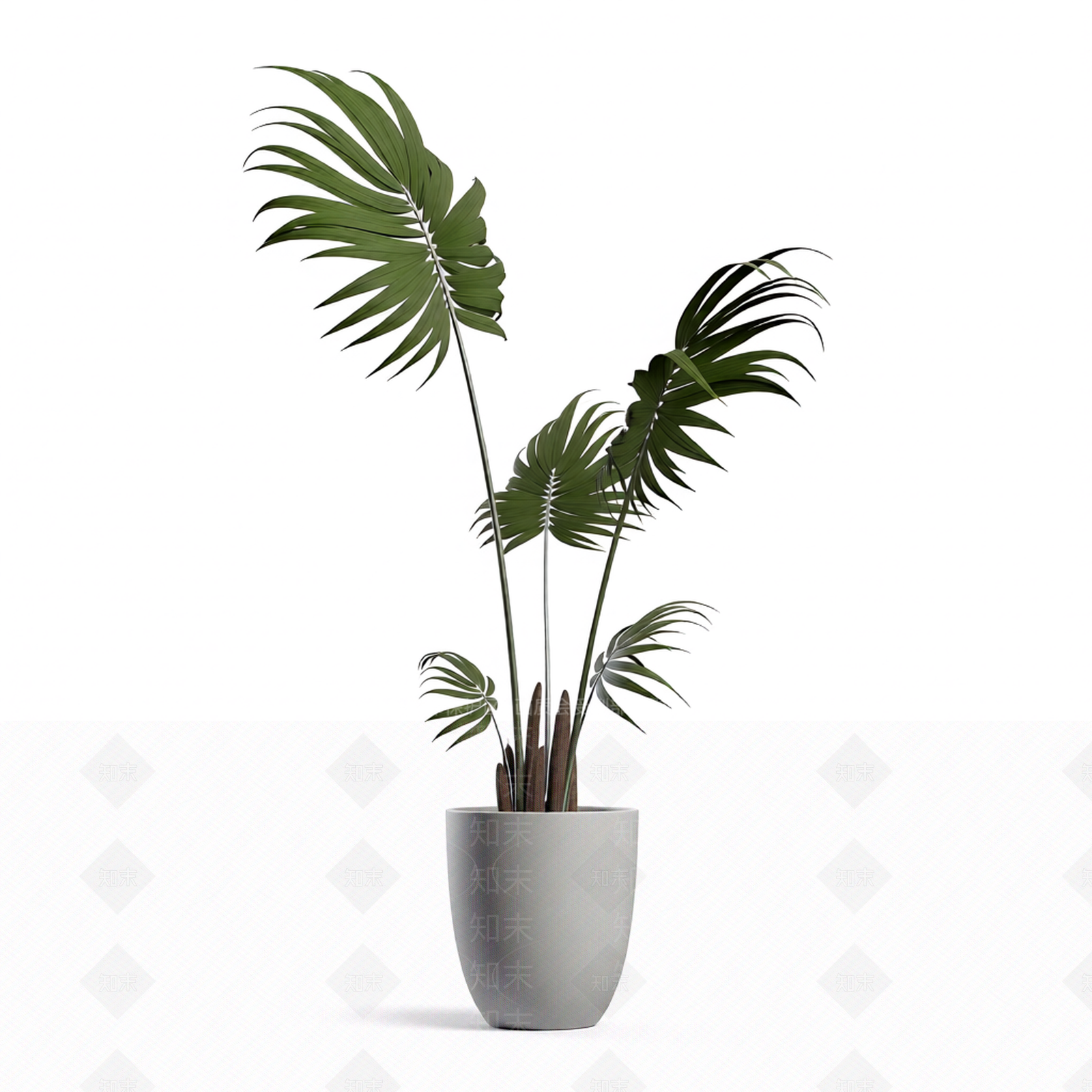 带盆绿植盆栽3D模型下载【ID:1206183919】
