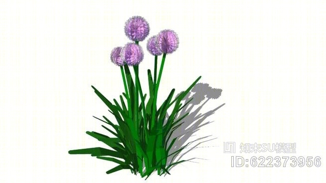 千年葱SU模型下载【ID:622373956】